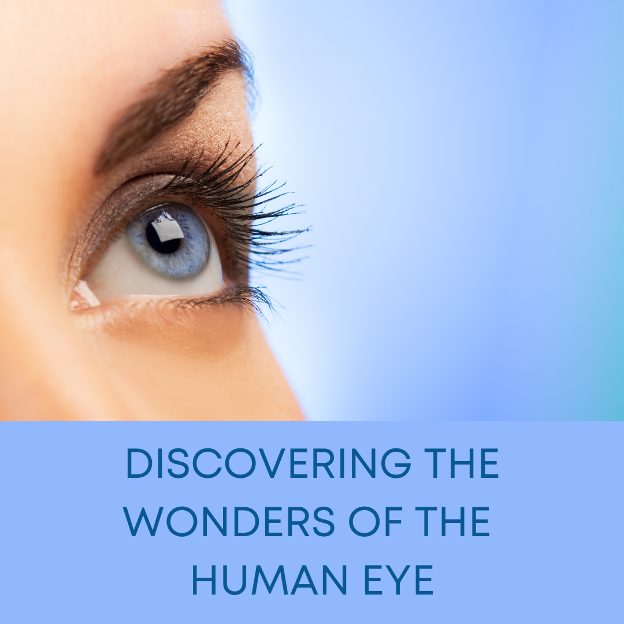 Blog title & persons eye looking up.