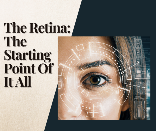 the retina the starting point of it all